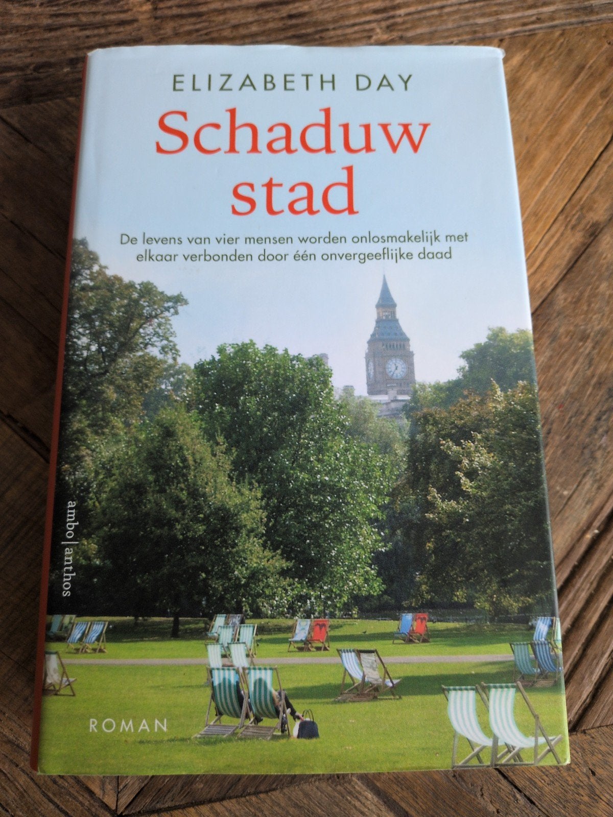 Elizabeth Day - Schaduwstad (Roman), Verzenden, Zo goed als nieuw, Elizabeth Day, Nederland