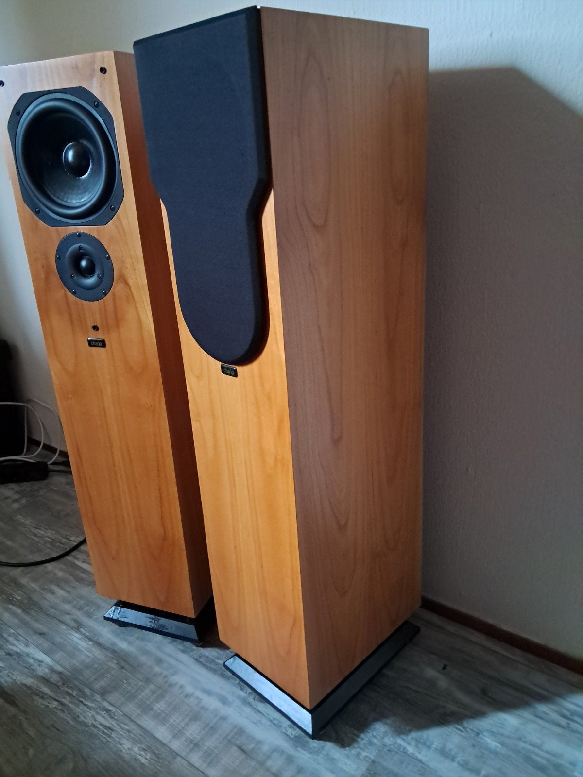chario syntar 100 tower luidsprekers  te ruil of te koop, Audio, Tv en Foto, Ophalen, Zo goed als nieuw, Vloerstaande luidspreker