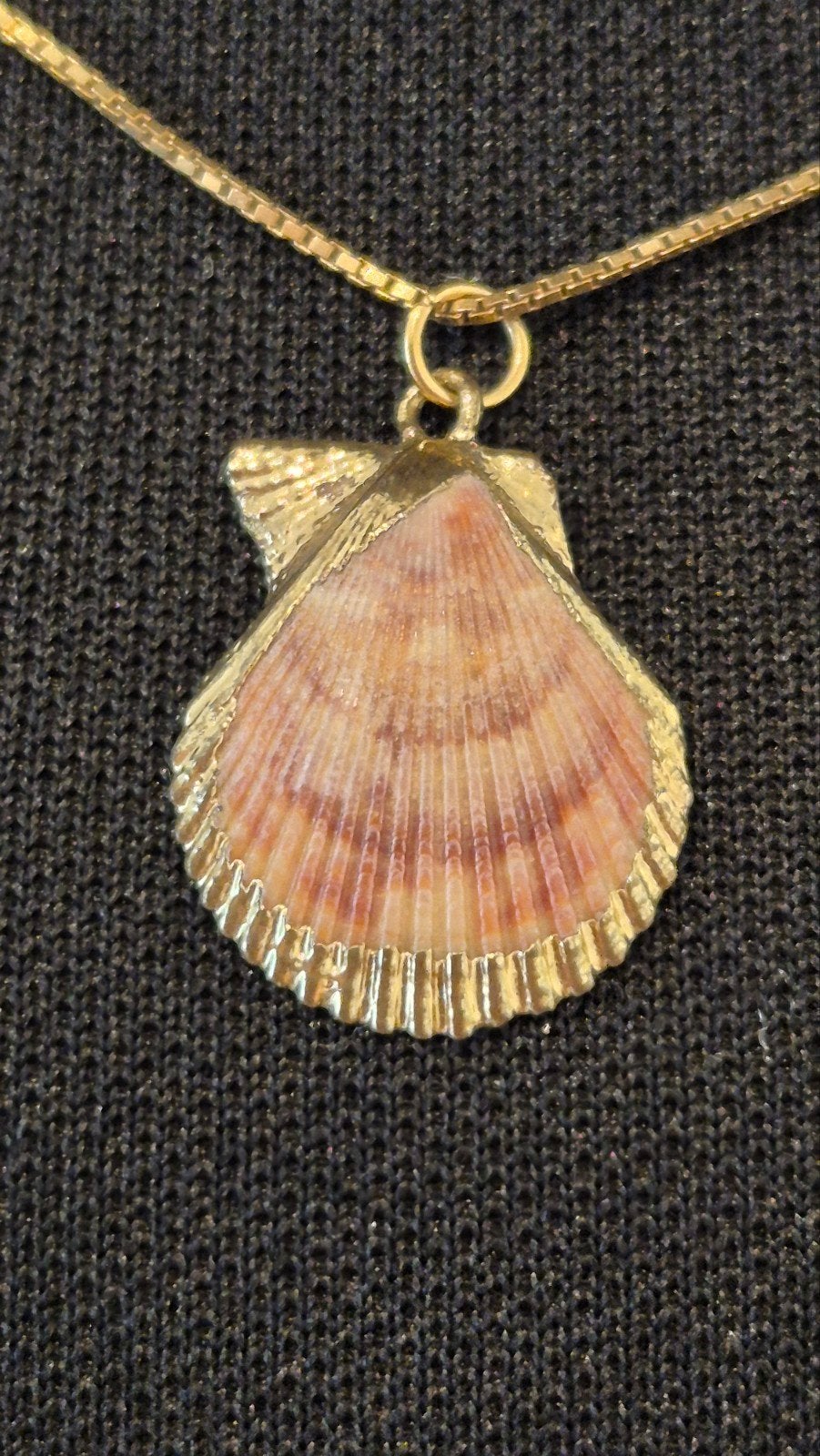 Unieke schelphanger van Terschelling - Eilandziel, Ophalen of Verzenden, Nieuw, Goud, Overige materialen