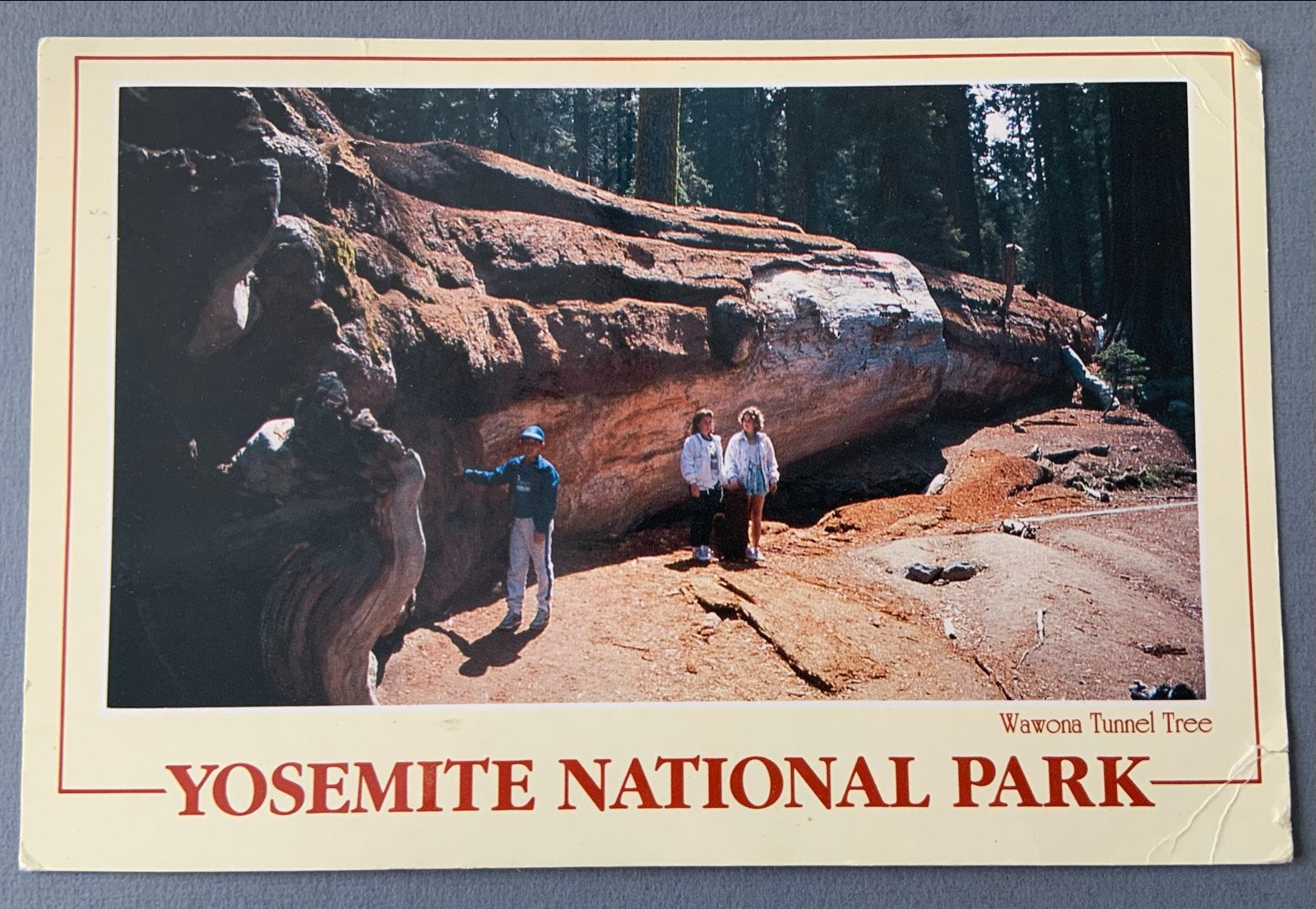 National Park Wawona Tunnel Tree Kaart, Verzenden, 1980 tot heden, Gelopen, Buiten Europa