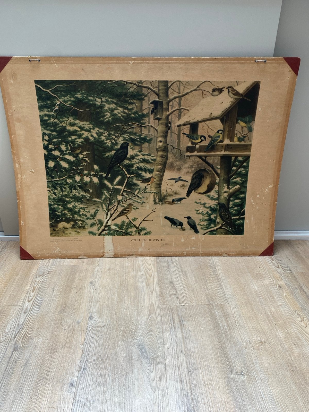 Vintage schoolplaat: Vogels in de winter, Antiek en Kunst, Antiek | Schoolplaten, Ophalen, Natuur en Biologie