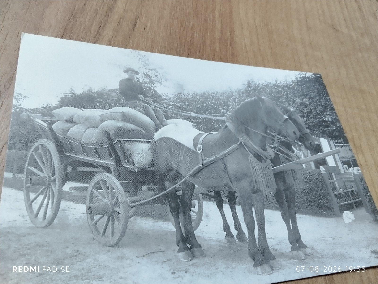 Ansichtkaart:  graan transport Zeeland, Rilland. repro, Verzamelen, Ophalen of Verzenden, Voor 1920, Ongelopen, Klederdracht