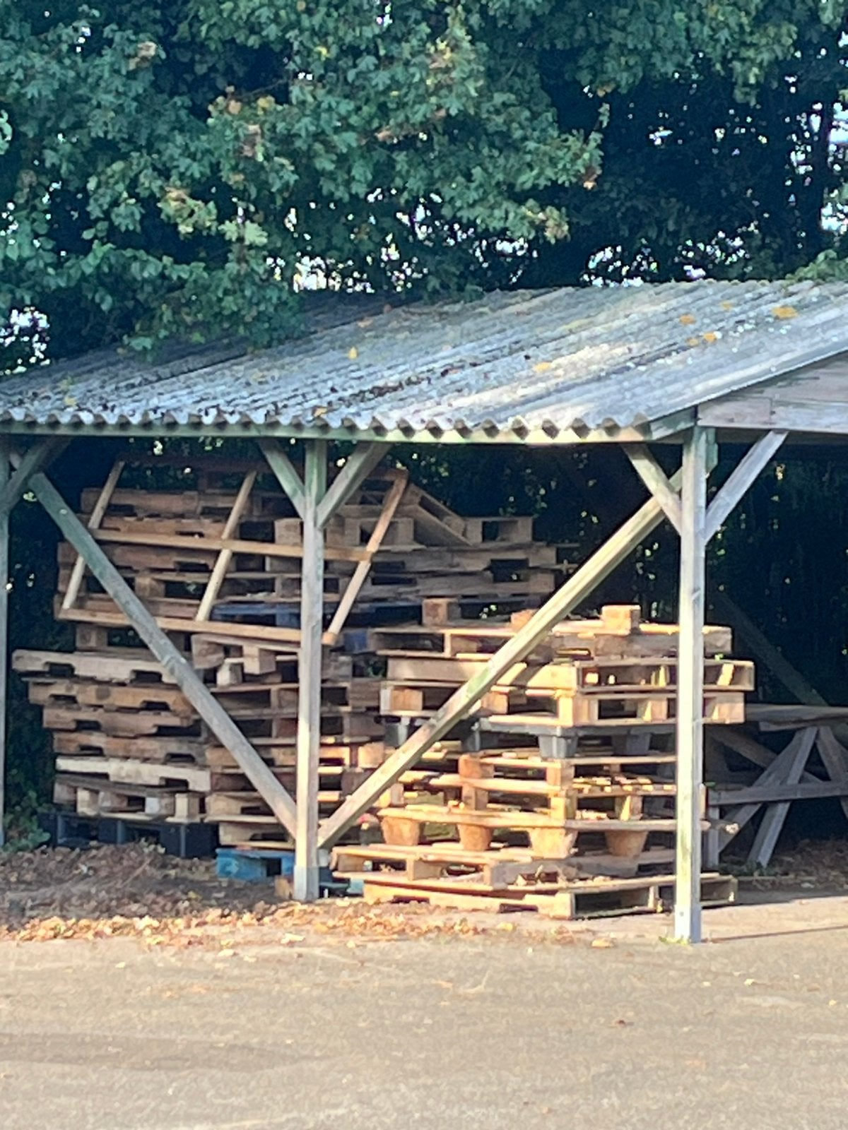 Gebruikte wegwerp pallets, 3 tot 6 m³, Ophalen