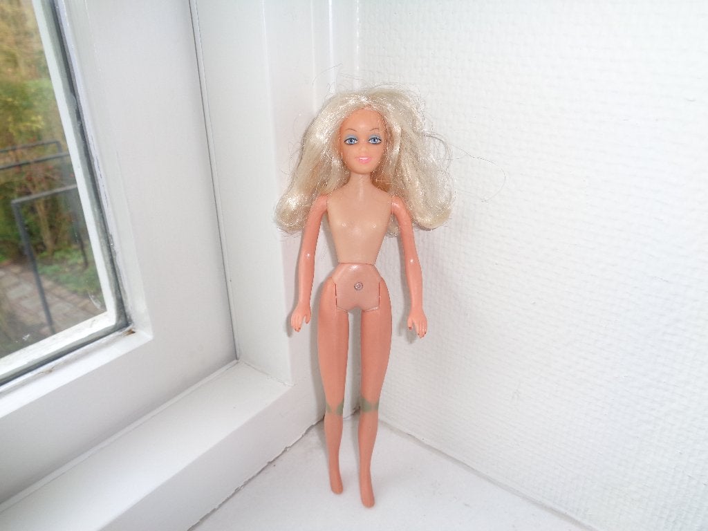 soort BARBIEpopje en extra los hoofdje, Ophalen of Verzenden, Gebruikt, Overige typen