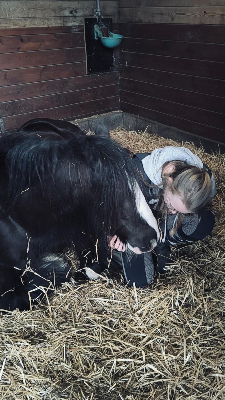 Betrouwbare verzorger/bijrijdster, Dieren en Toebehoren, Ophalen of Verzenden