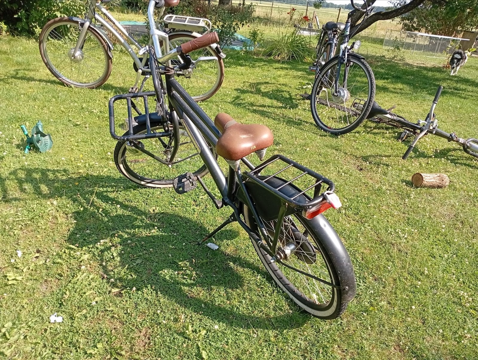 Stevige transportfiets met voordrager en terugtraprem, Ophalen, Gebruikt, 26 inch of meer