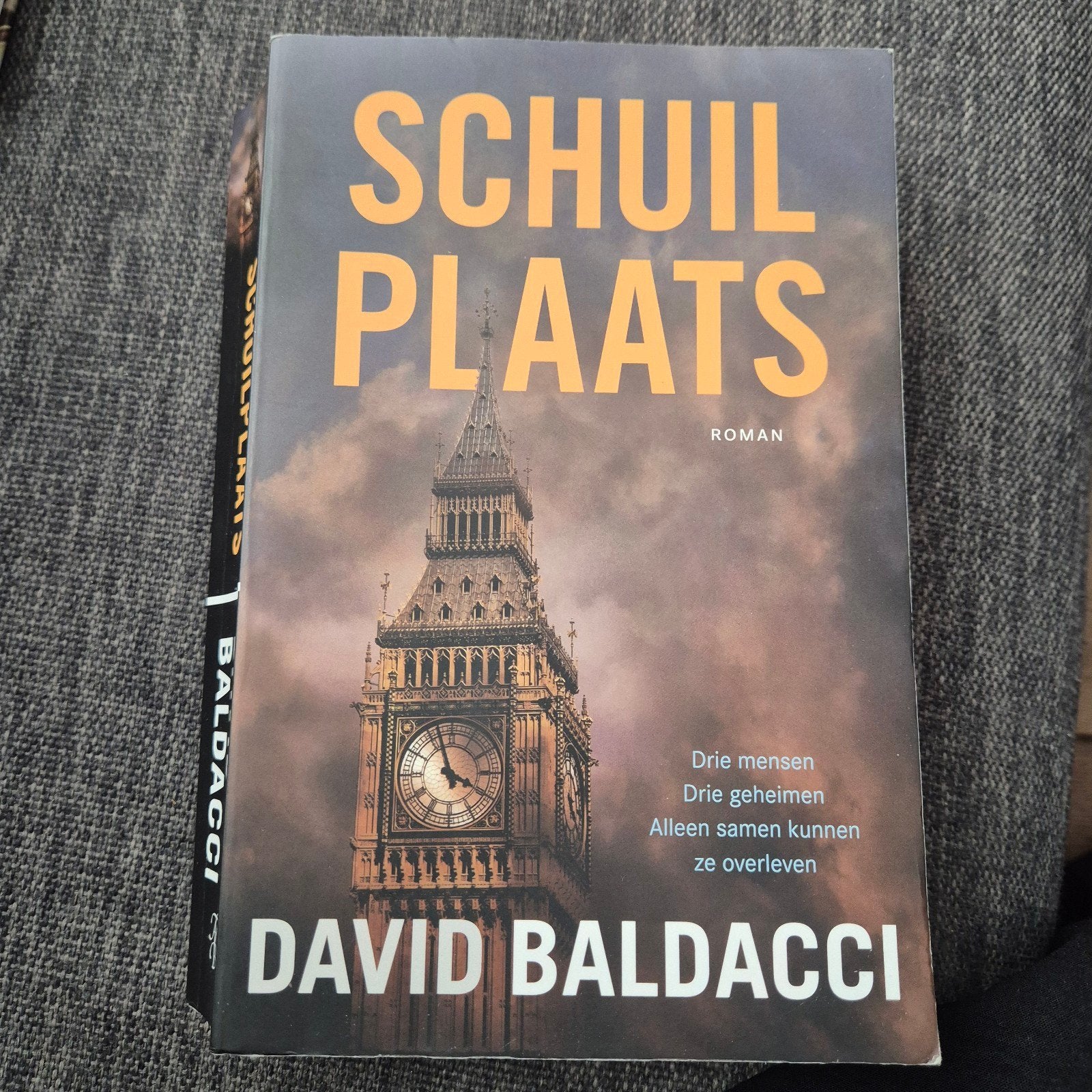 Schuilplaats - David Baldacci (Roman), Boeken, Ophalen of Verzenden, Zo goed als nieuw, David Baldacci, Amerika