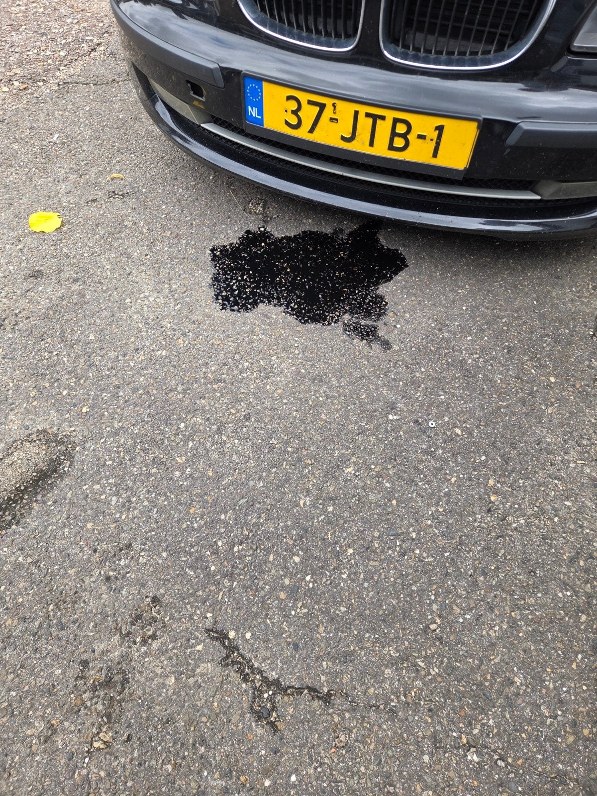 Olielekkage onder BMW - Diagnose en reparatie, Ophalen, Gebruikt, BMW
