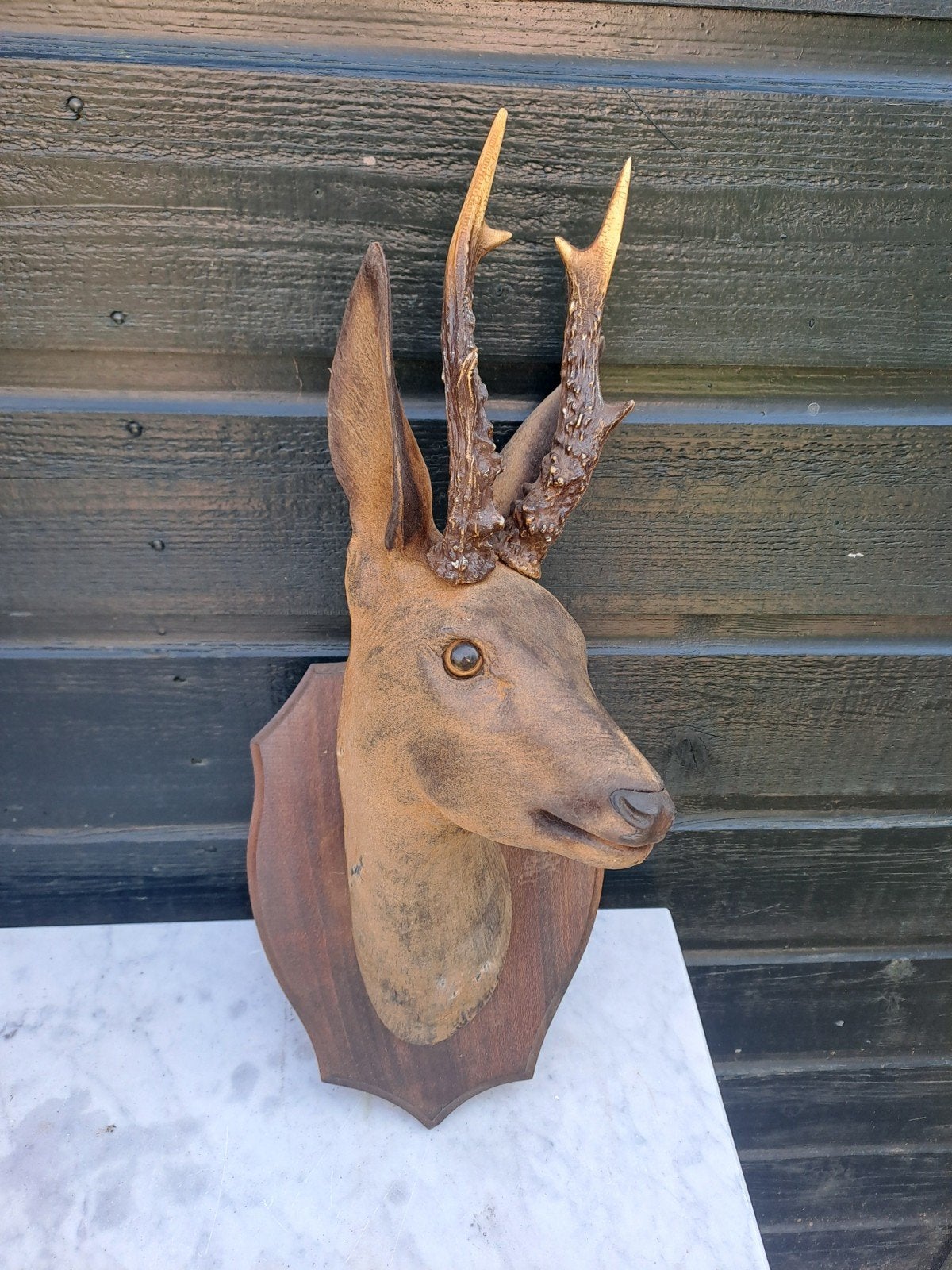 Vintage kunststof jacht trofee van een ree, Ophalen of Verzenden, Hert, Beeldje of Figuurtje
