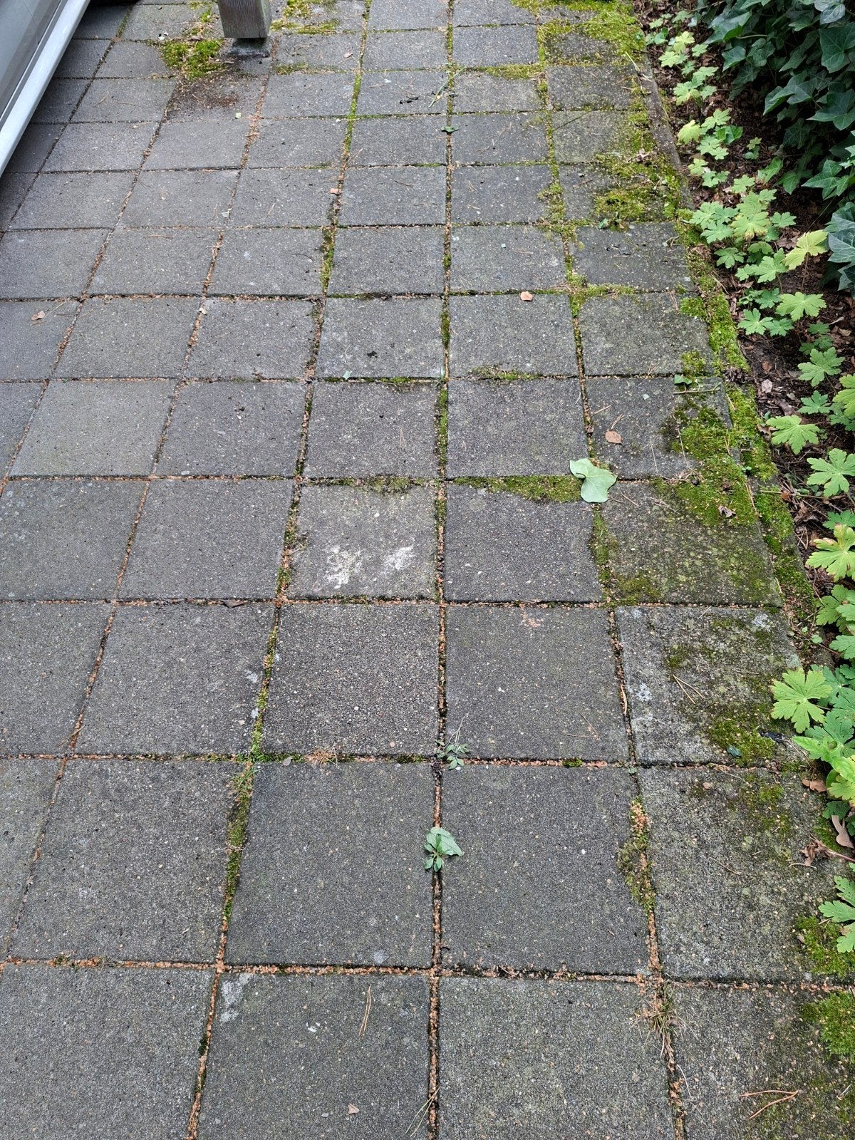 Gebruikte stoeptegels voor tuin of pad, Ophalen, Overige materialen, Gebruikt, 20 tot 40 cm