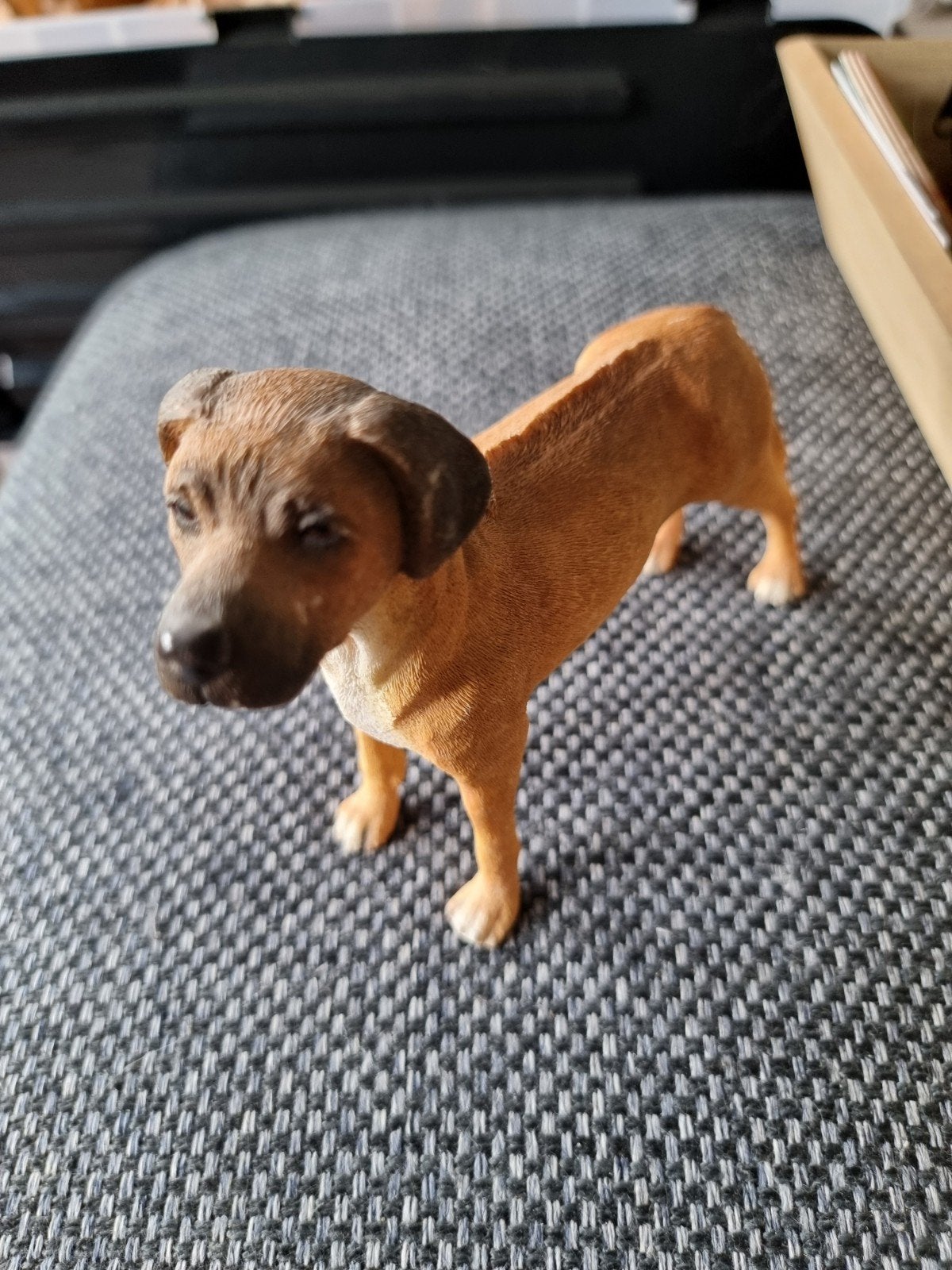 Leonardo Collection Hondenbeeldje - Rhodesian Ridgeback, Ophalen of Verzenden, Zo goed als nieuw, Hond of Kat, Beeldje of Figuurtje