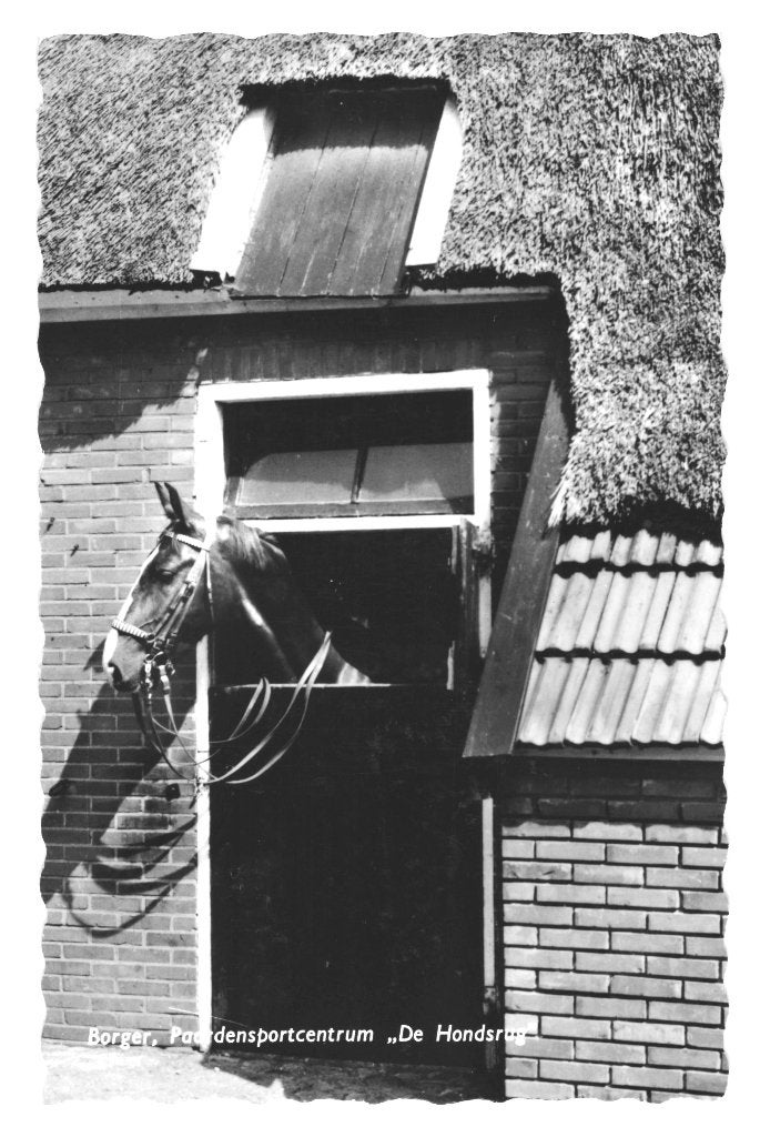 968877	Borger	Drenthe	1967 Paardenpsportcentrum	De Hondsrug