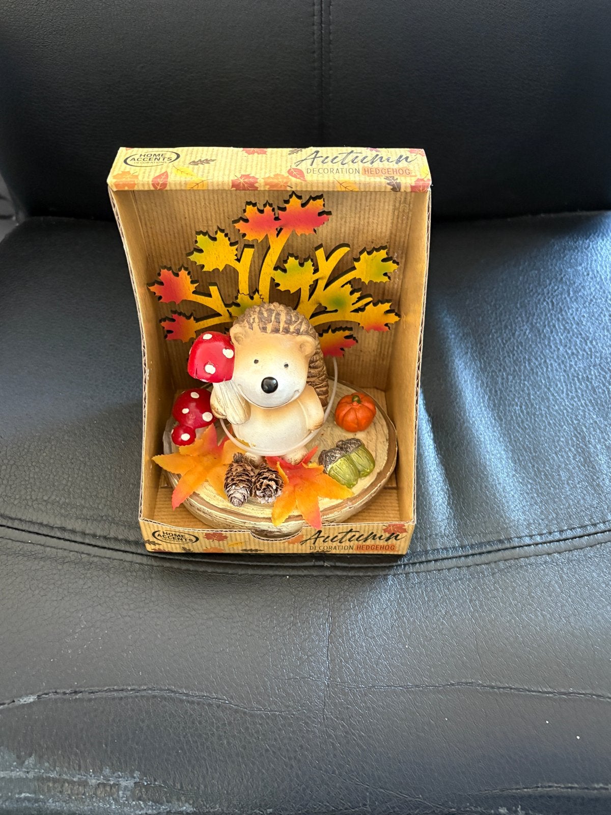 Herfst Decoratie Egel met Pompoen, Eikels en Paddenstoelen, Meerkleurig, Nieuw, Ophalen of Verzenden, Landelijk