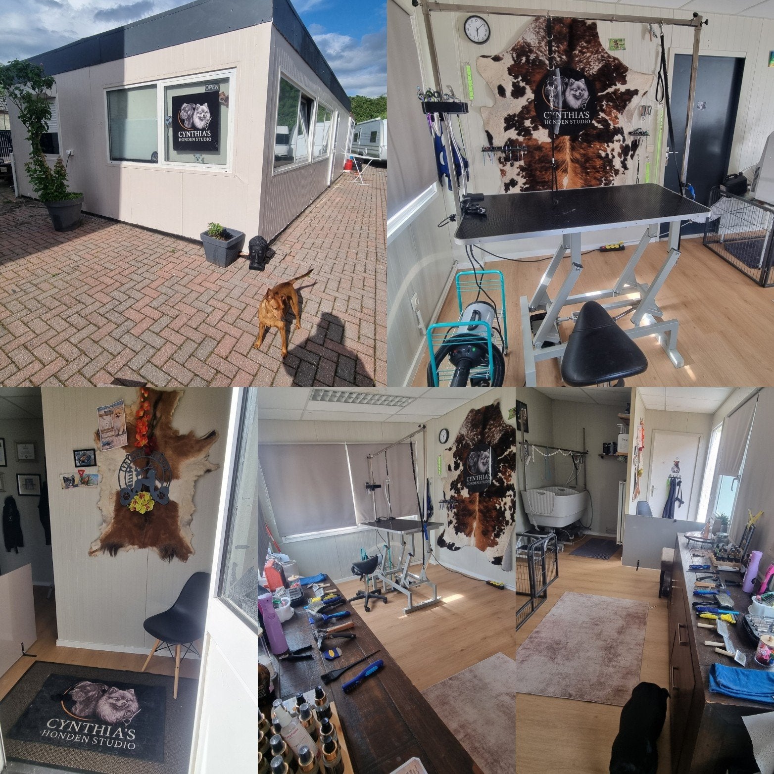 groomer trimsalon hondenkapper trimmer, Ophalen of Verzenden