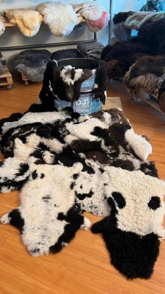 Zacht bonte schapenvacht van bergschaap nu 2 stuks 60 euro