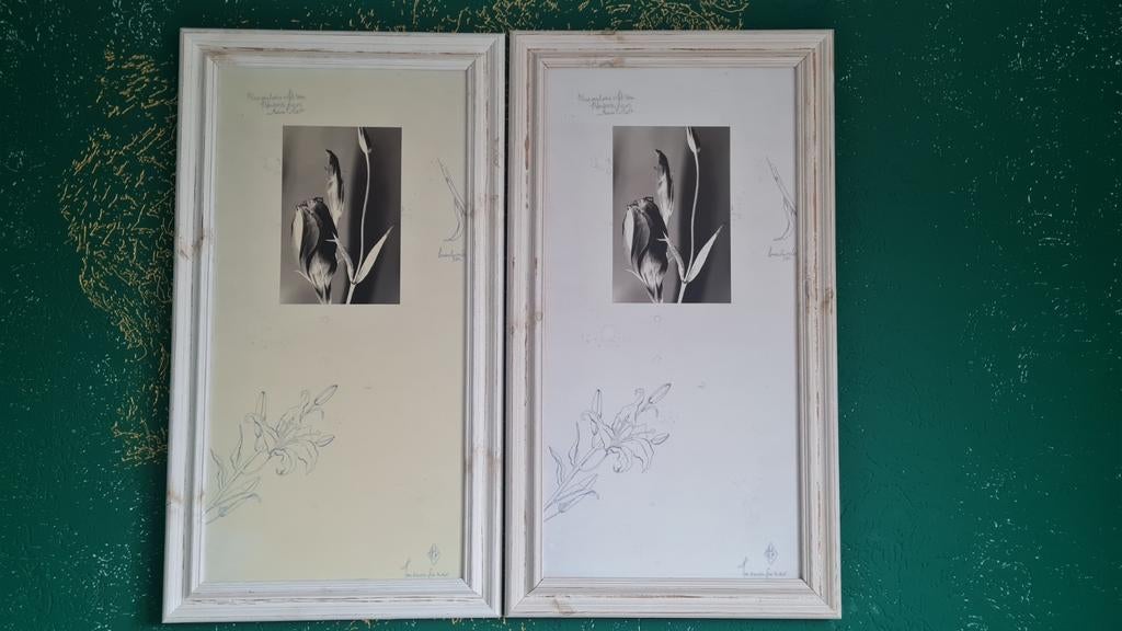 Ingelijste Botanische Kunstwerken - Set van 2, Huis en Inrichting, Woonaccessoires | Schilderijen, Tekeningen en Foto's, Ophalen