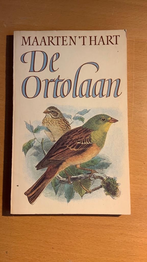 De ortolaan - Maarten ‘t Hart, Ophalen of Verzenden