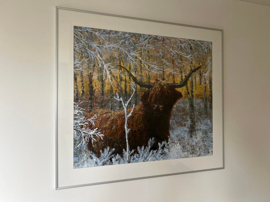 Schilderij met Schotse Hooglander in Zilveren Lijst, Antiek en Kunst, Kunst | Schilderijen | Klassiek, Ophalen