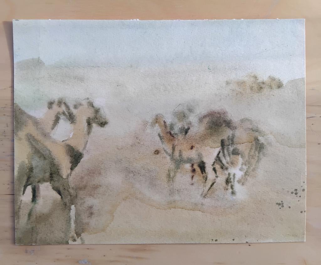 Origineel aquarel schilderij., Antiek en Kunst, Kunst | Schilderijen | Klassiek, Ophalen of Verzenden