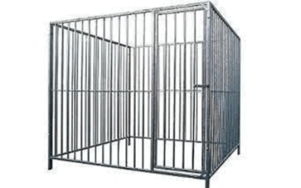 Kennel hondenren hondenverblijf kennel met dak op maat 🐕🐩�, Dieren en Toebehoren, Hondenhokken, Ophalen, Hondenkennel, 110 cm of meer