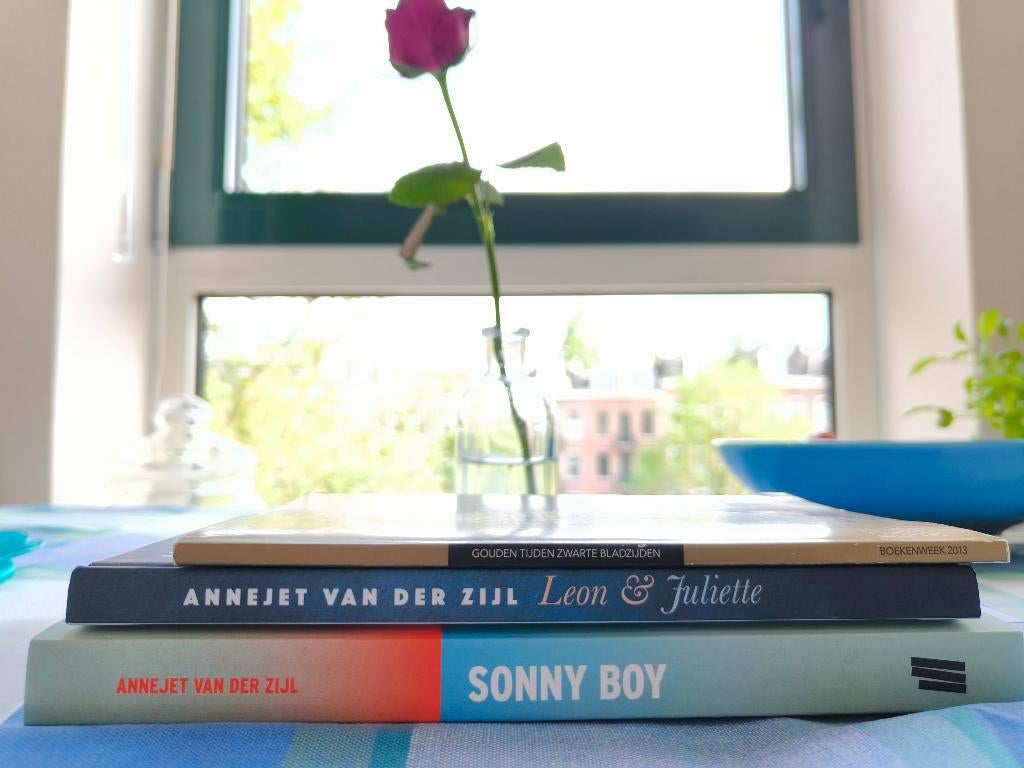 Boekenweekgeschenk , Essay , Nederland Leest:  Sonny Boy, Boeken, Boekenweekgeschenken, Ophalen of Verzenden, Diverse auteurs
