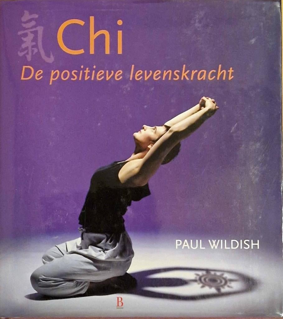 Chi, de positieve levenskracht, Meditatie of Yoga, Ophalen of Verzenden, Zo goed als nieuw, Paul Wildish
