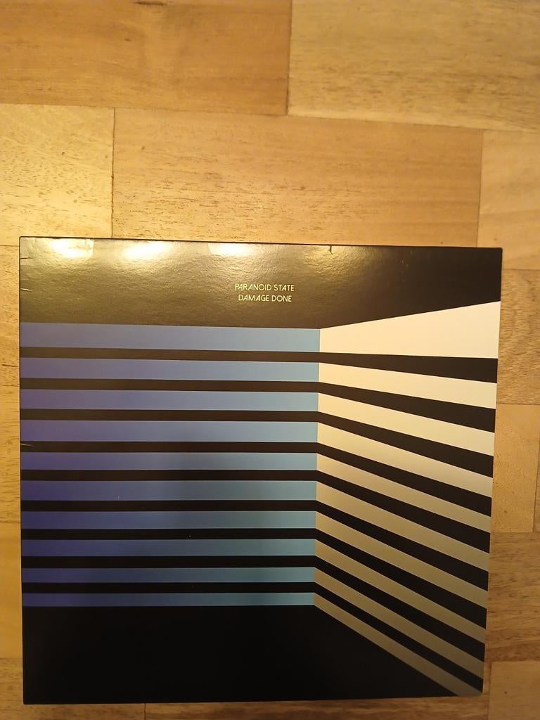 Paranoid state damage done/ hardcore punk vinyl, Ophalen of Verzenden, Zo goed als nieuw