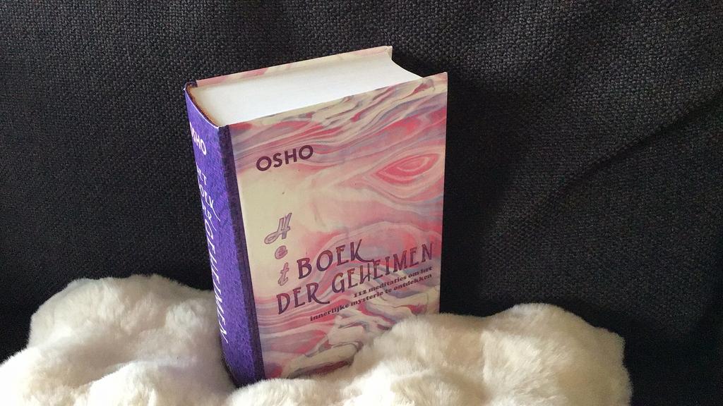 BOEK DER GEHEIMEN, Ophalen of Verzenden, Zo goed als nieuw, Achtergrond en Informatie