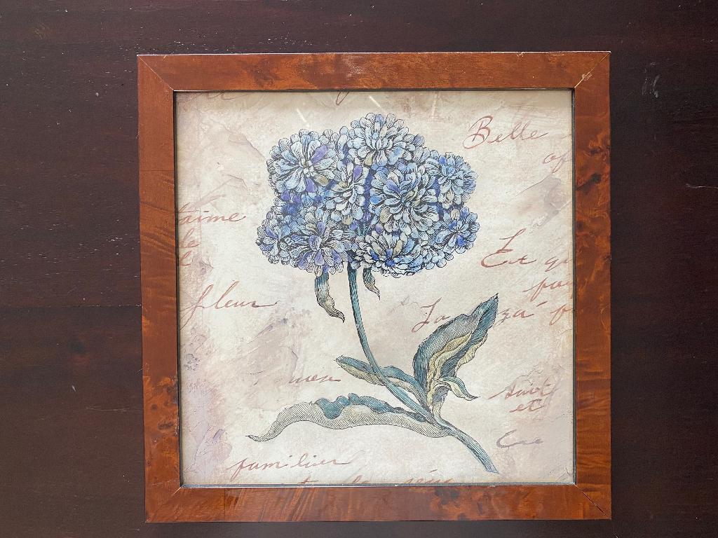 Botanische prentenset (3x), Natuur, Gebruikt, Ophalen of Verzenden, Voor 1940