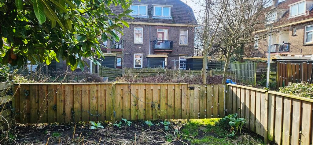 Tuinhekken - Rechterkant en Achterkant, Tuin en Terras, Schuttingen, Ophalen, 6 meter of meer, Hout, 1 tot 2 meter