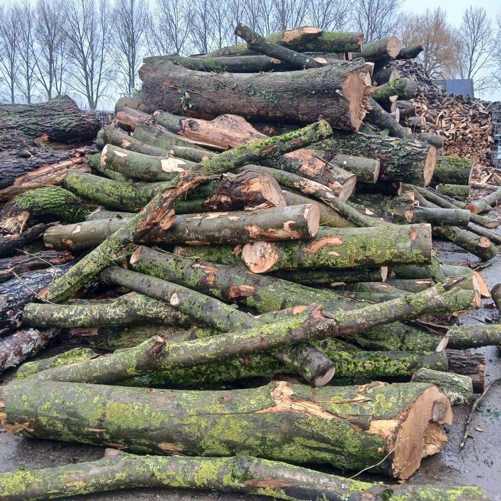 Haardhout, stammen eik, es partij, Tuin en Terras, Haardhout, 6 m³ of meer, Ophalen
