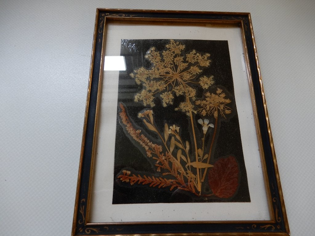 schilderijtje, echte droogbloemen, Ophalen of Verzenden, Zo goed als nieuw