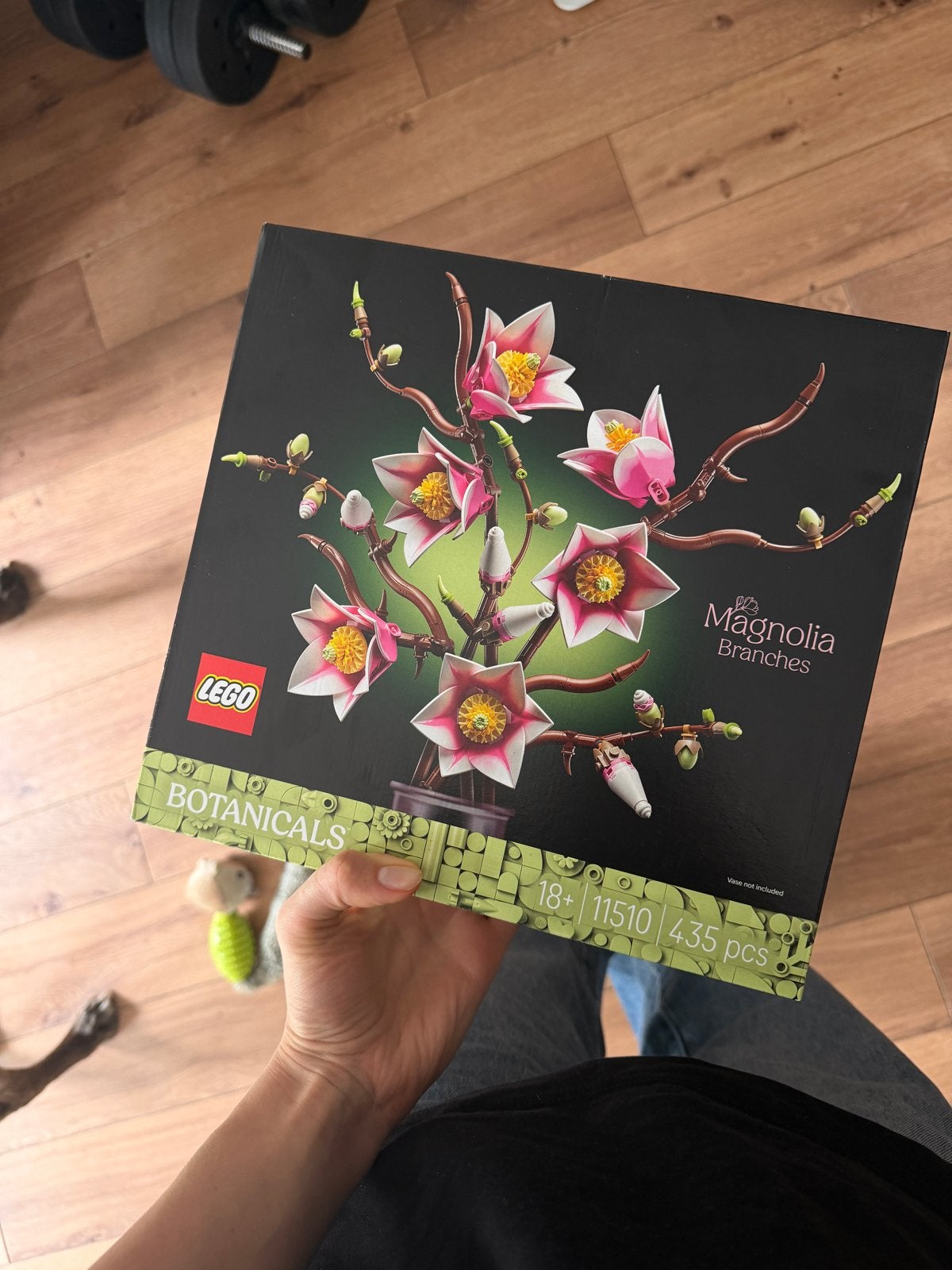 LEGO Botanicals Magnolia Branches - Nieuw in doos, Ophalen of Verzenden, Nieuw, Overige merken