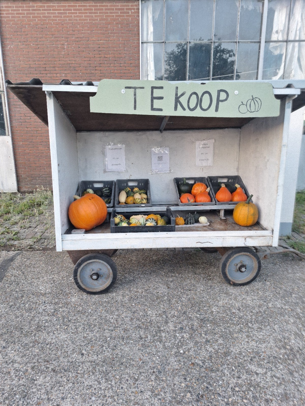 Pompoenen en kalebassen, Tuin en Terras, Ophalen, Nieuw