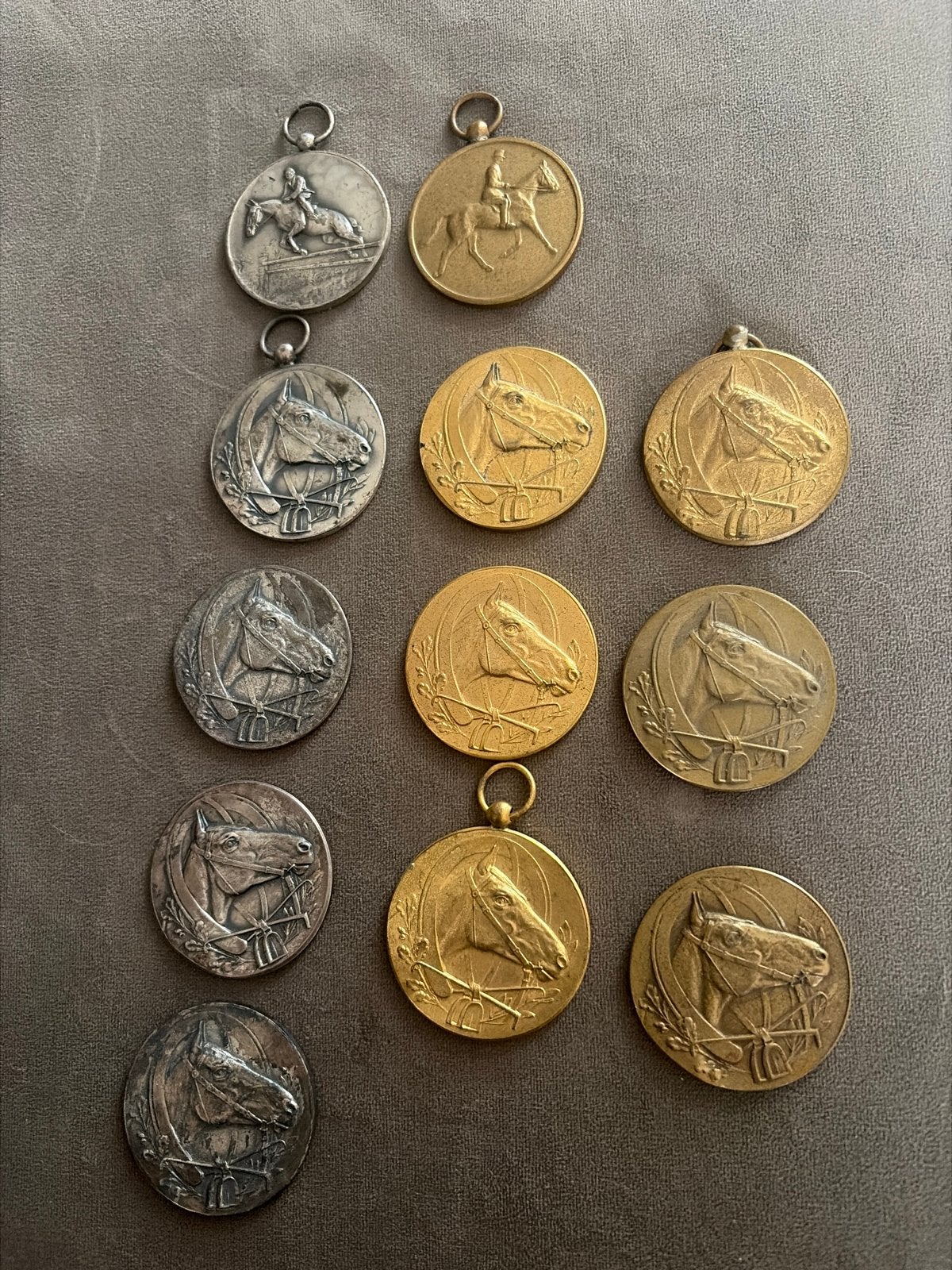 Verzameling van 12 Vintage Paardensport Medailles, Ophalen of Verzenden, Overige materialen, Nederland