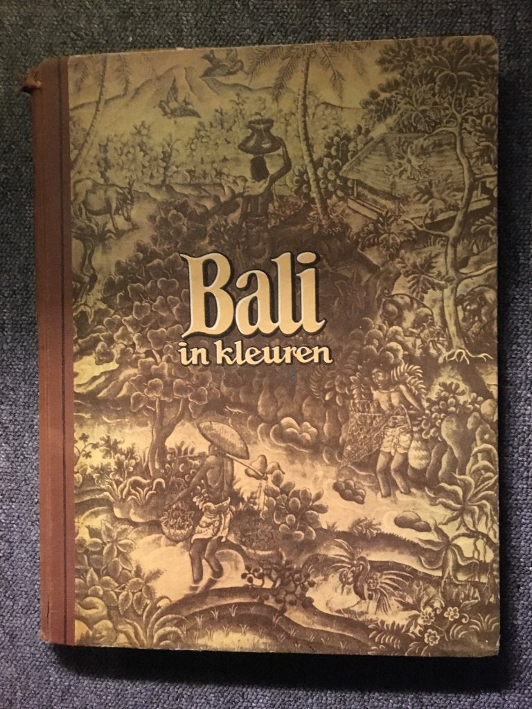 Bali in Kleuren Plakboek/Verzamel album; door Douwe Egberts, Boeken, Ophalen of Verzenden, Gelezen, Piet Bakker, Azië