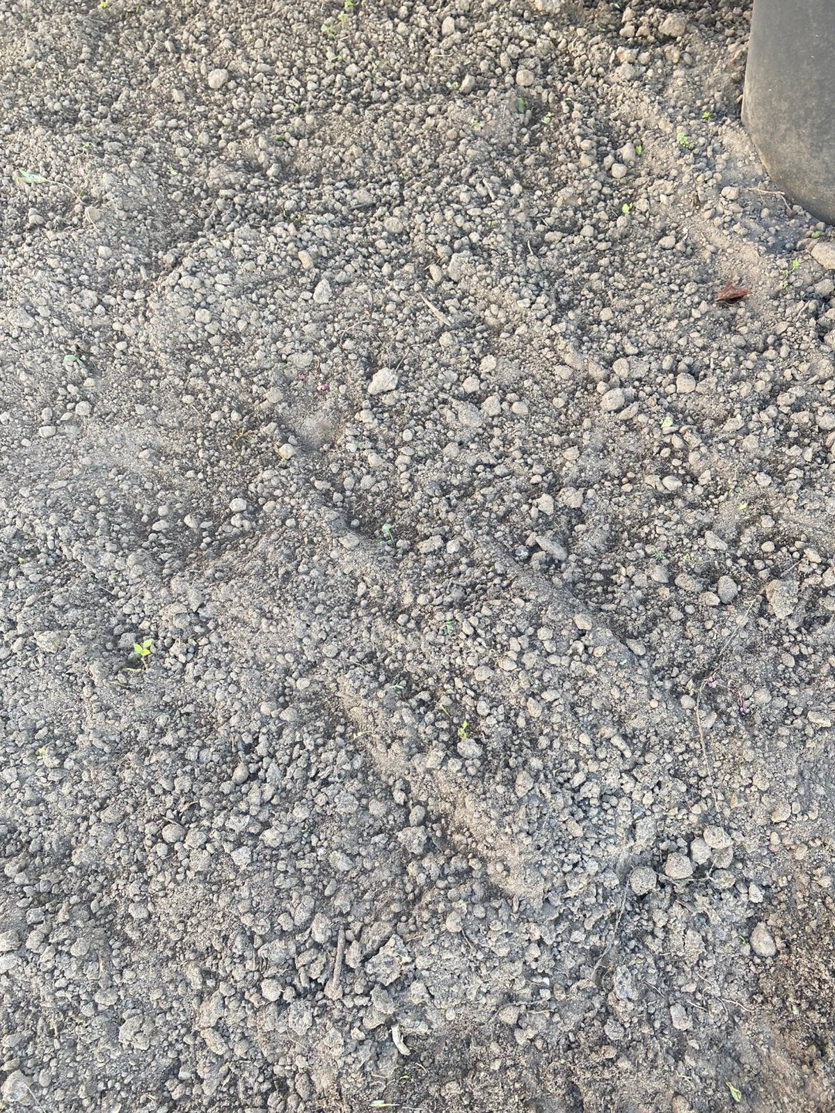 Schone zwarte tuingrond, Tuin en Terras, Ophalen, Zo goed als nieuw, Overige typen