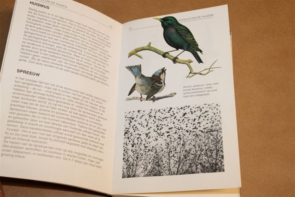 Vogelgids voor de Lage Landen — 200+ Illustraties, Ophalen of Verzenden, Gelezen, Paarden of Pony's