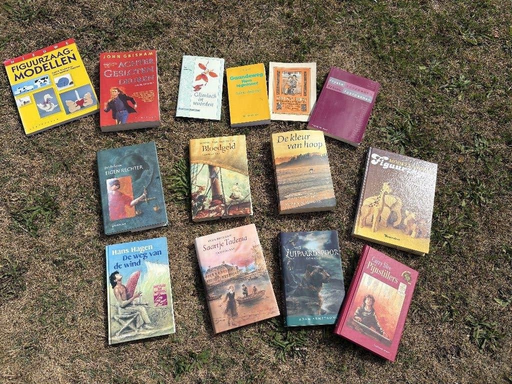 Verschillde boeken, Ophalen of Verzenden, Gelezen