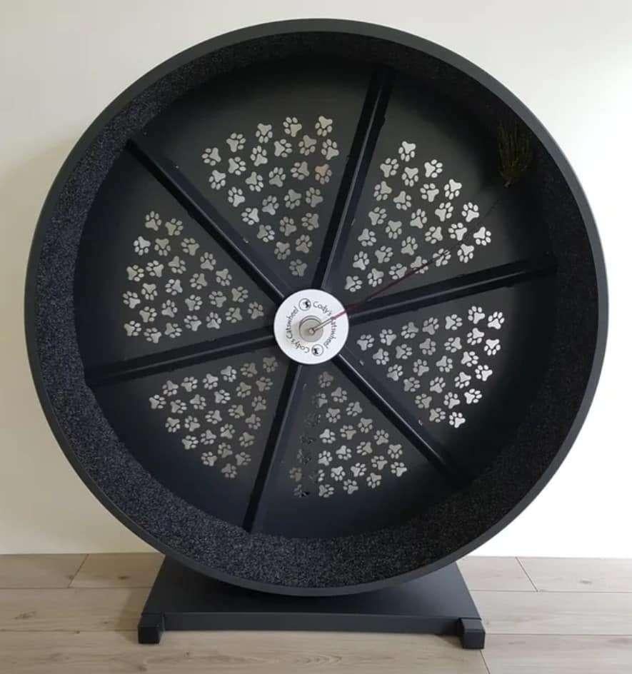 GEZOCHT: Cody's Catswheel, Dieren en Toebehoren, Ophalen, Zo goed als nieuw, Overig speelgoed