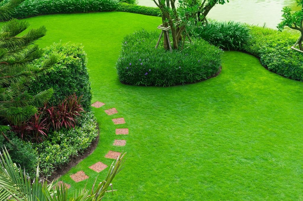 Uw tuin aanleggen of onderhouden? Wij doen het graag voor u, Tuinontwerp