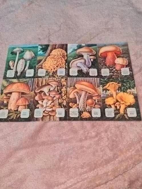 vel poezië plaatjes paddestoelen, Verzamelen, Poesieplaatjes, Ophalen of Verzenden