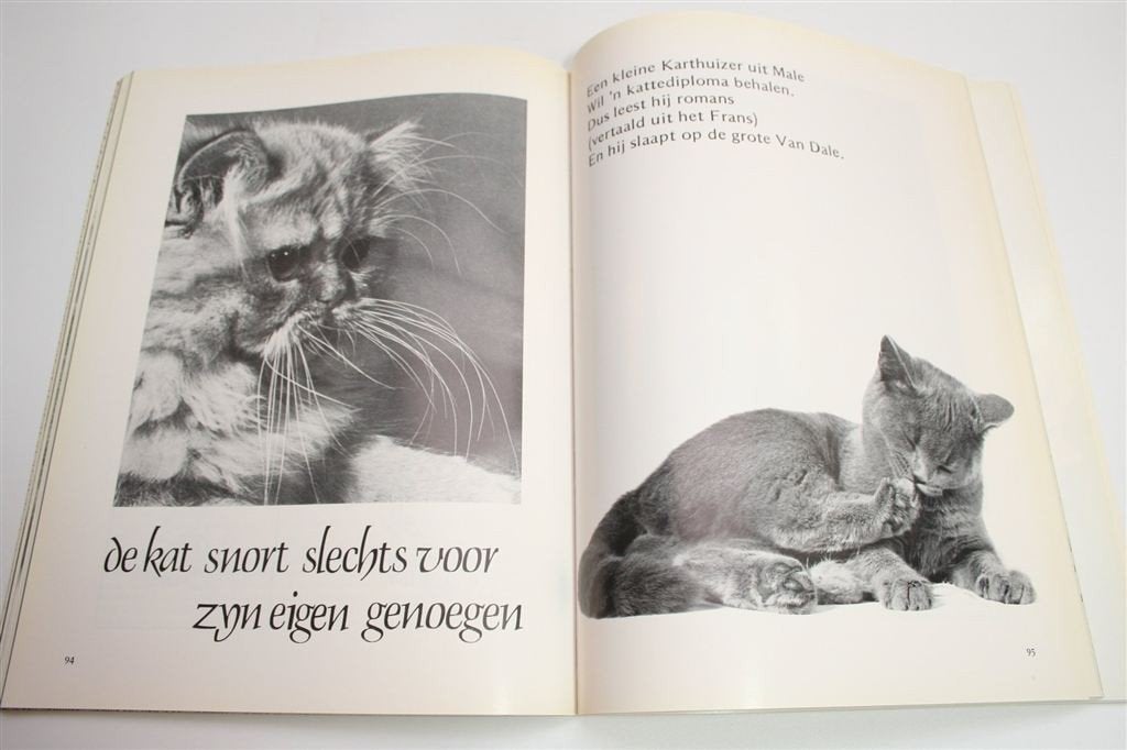 Een Kat is een Kat — Kattenvaria [1e Druk, 1983], Ophalen of Verzenden, Gelezen, Katten