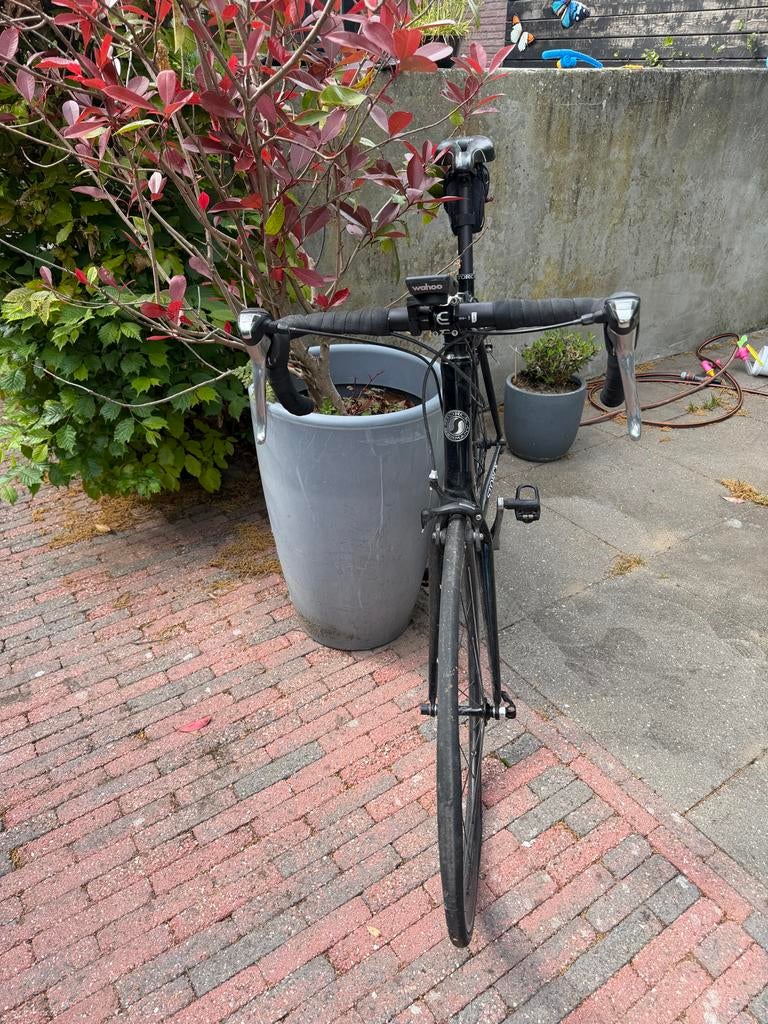 Oude Storck racefiets - Opknapper, Gebruikt, Carbon, Heren, 57 tot 61 cm