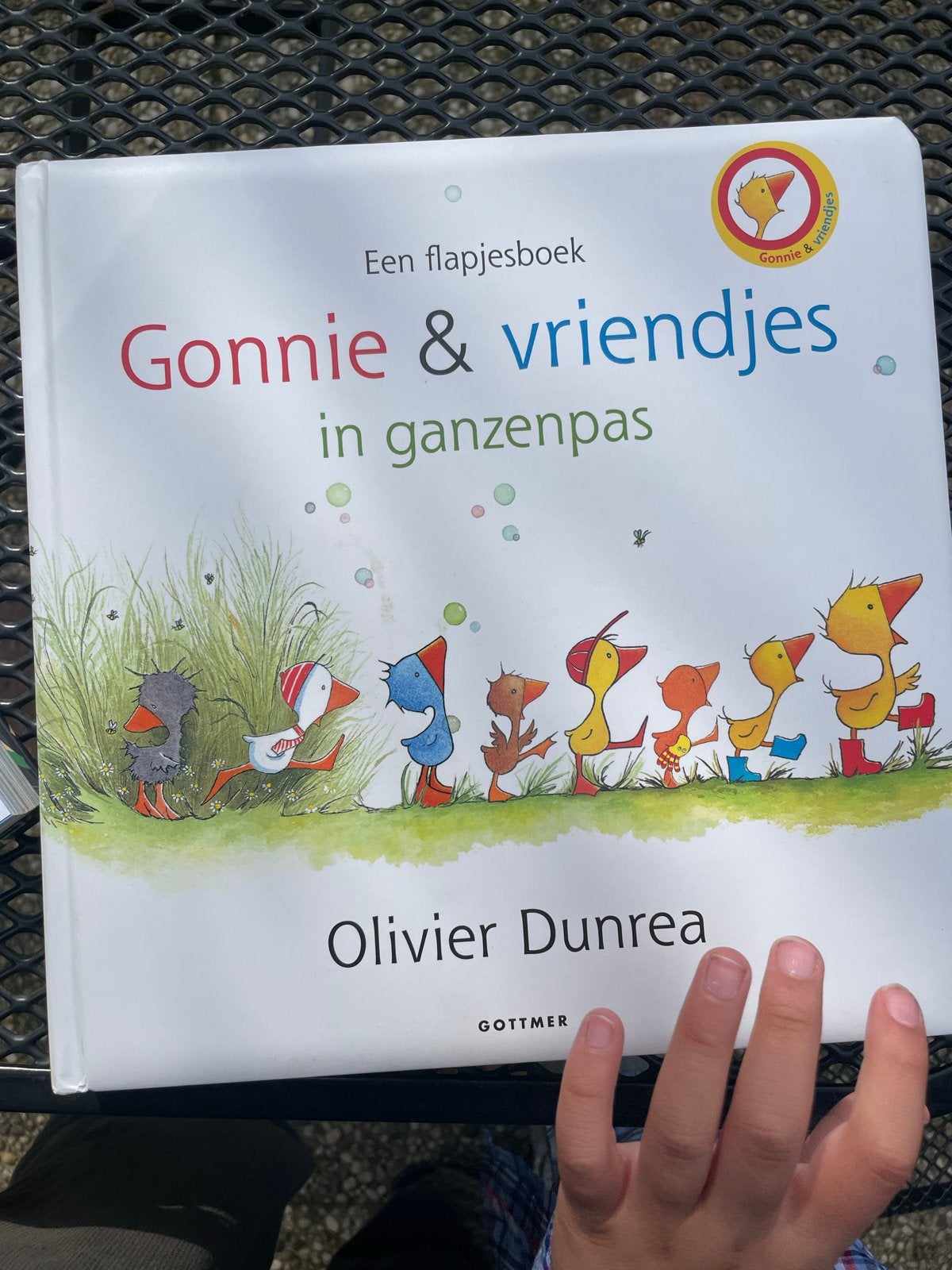Gonnie & vriendjes in ganzenpas - Flapjesboek (zgan), Boeken, Ophalen of Verzenden, Zo goed als nieuw, Uitklapboek