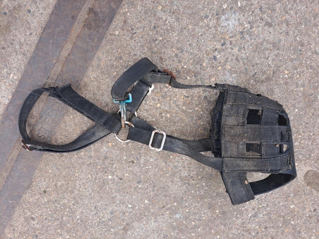 Graasmasker, Dieren en Toebehoren, Ophalen of Verzenden