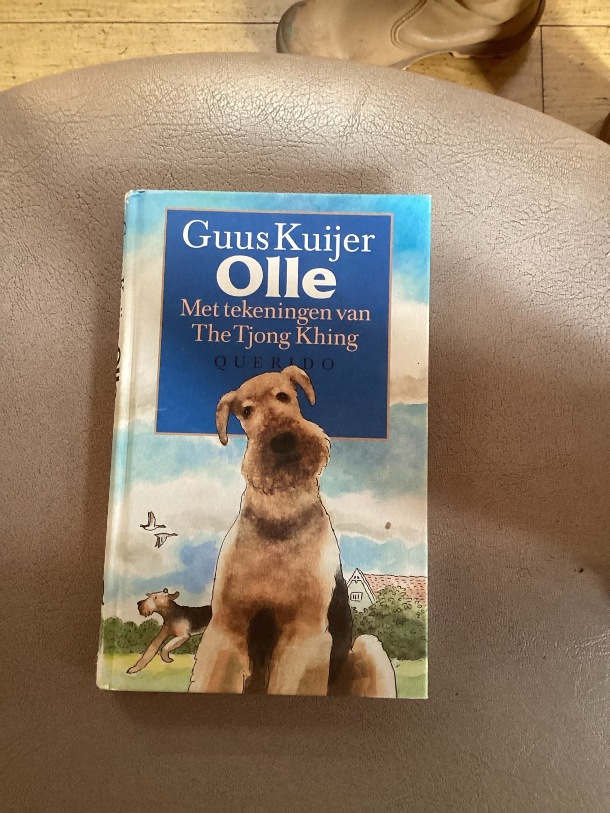 Guus Kuijer - Olle (kinderboek), Ophalen of Verzenden, Gelezen, Fictie algemeen