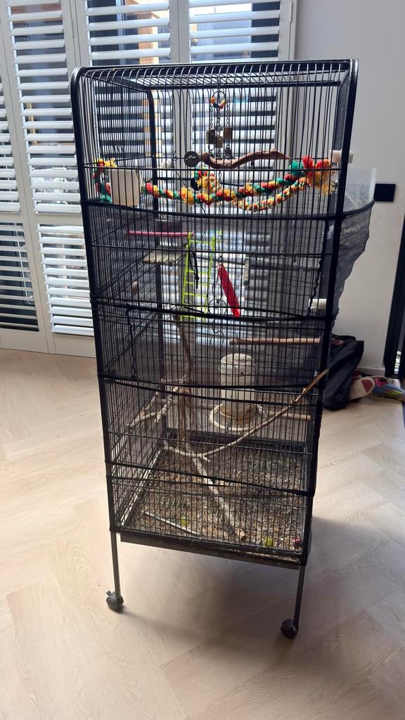 Grote vogelkooi / papegaaienkooi te koop, Dieren en Toebehoren, Vogels | Hokken en Kooien, Ophalen of Verzenden, Zo goed als nieuw