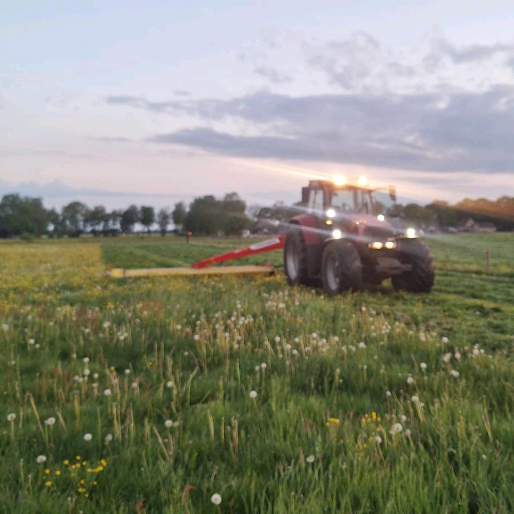 Gevraagd gras op stam hooi / kuil balen, Dieren en Toebehoren