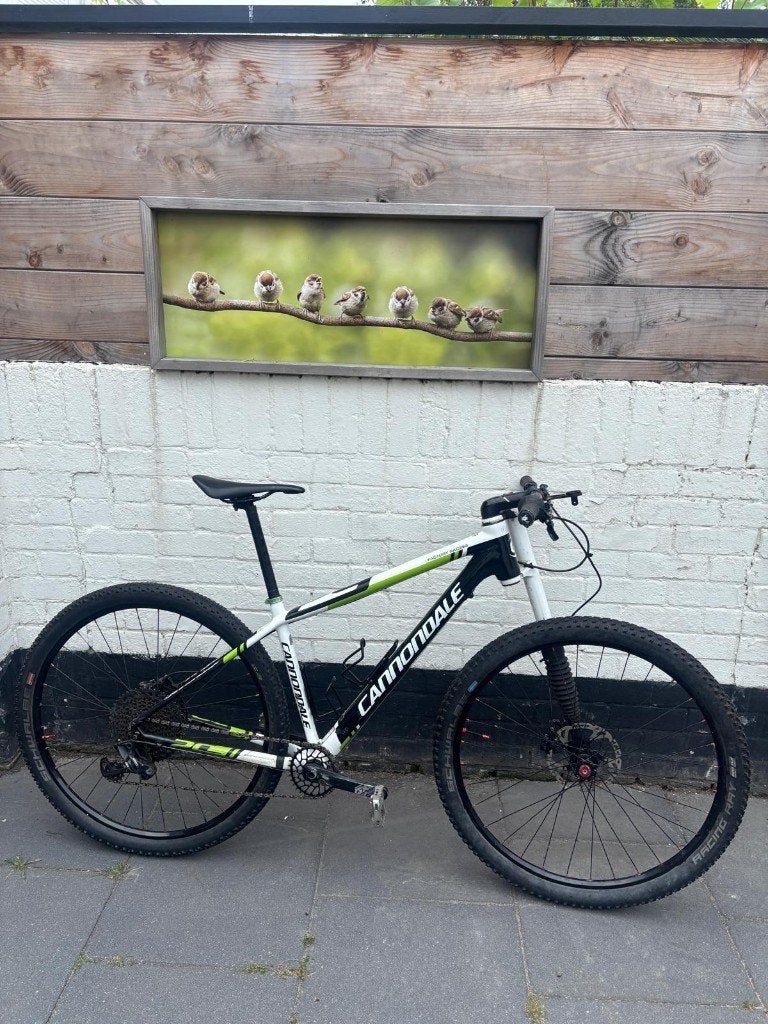 Super lichte Cannondale MTB F29 Lefty Maat M, Gebruikt, Hardtail, Heren, 49 tot 53 cm